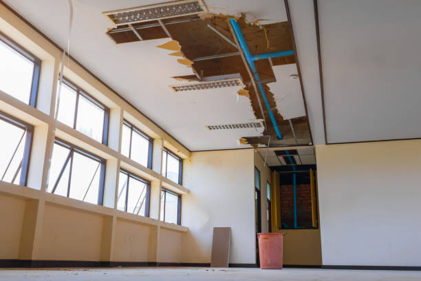 Best Professional water damage repair  in West Cape May, NJ