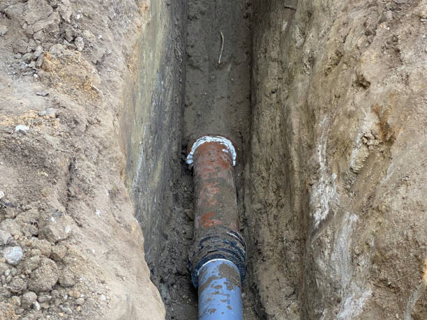 Best Flood damage cleanup  in West Cape May, NJ
