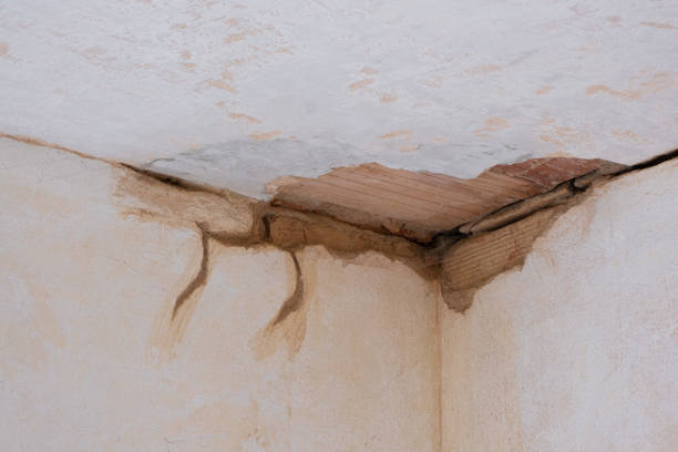 Best Water damage cleanup near me  in West Cape May, NJ
