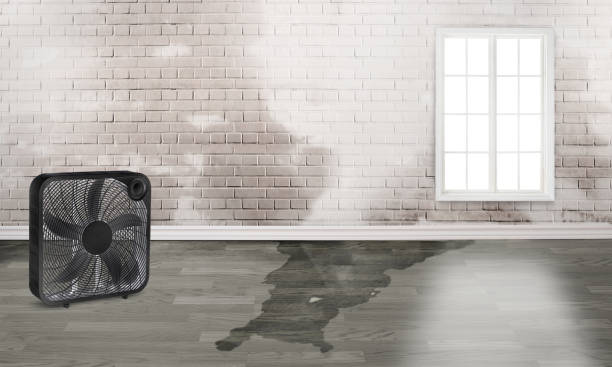 Best Sewage cleanup and water damage restoration  in West Cape May, NJ