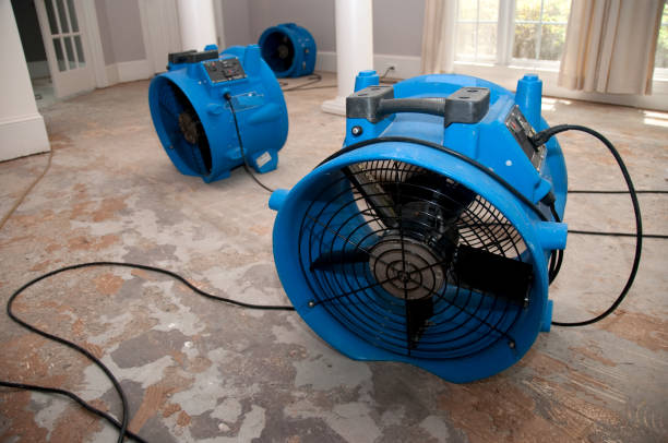 Best Flood restoration services  in West Cape May, NJ