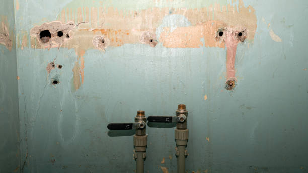 Best 24/7 water damage repair  in West Cape May, NJ