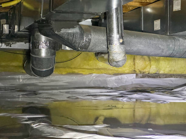 Best Mold removal after water damage  in West Cape May, NJ